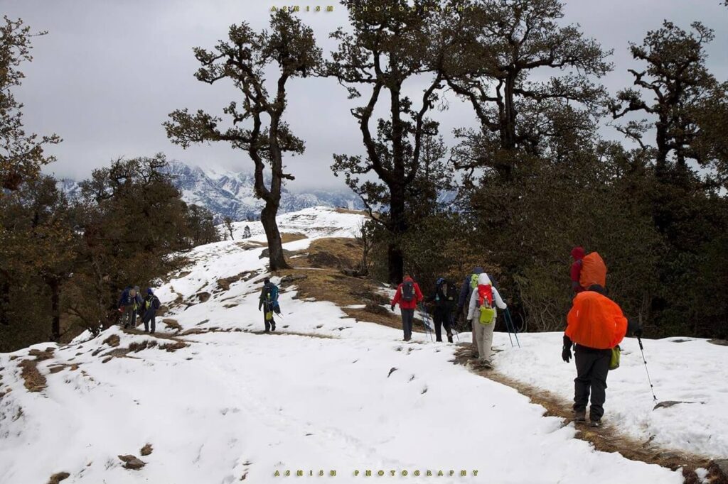 Brahmatal trek discoveryhike