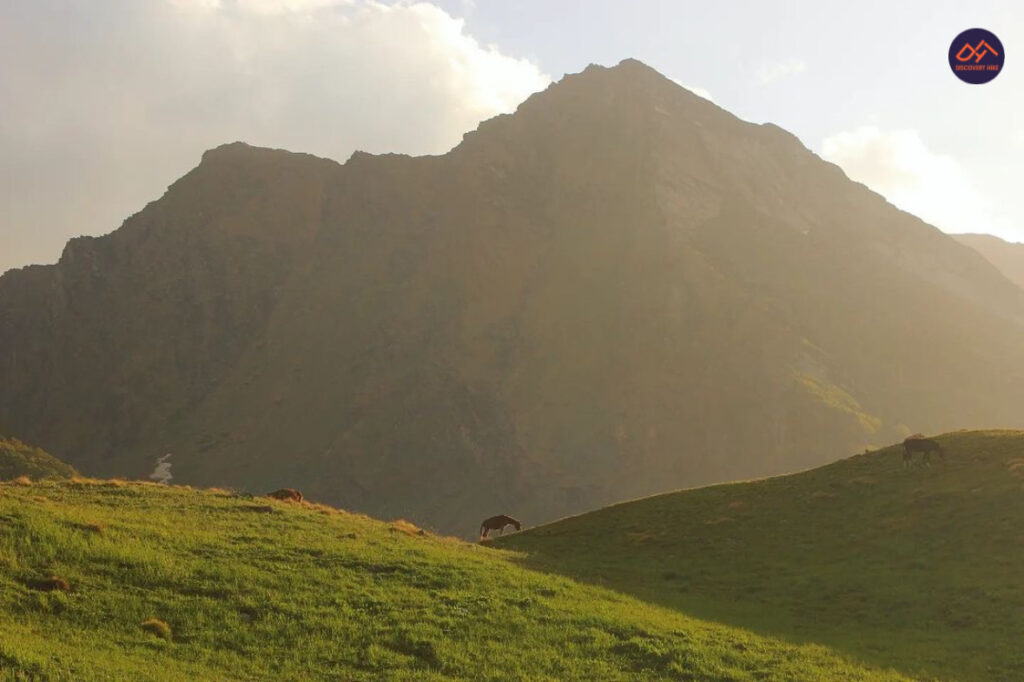 Bali Pass Trek discoveryhike