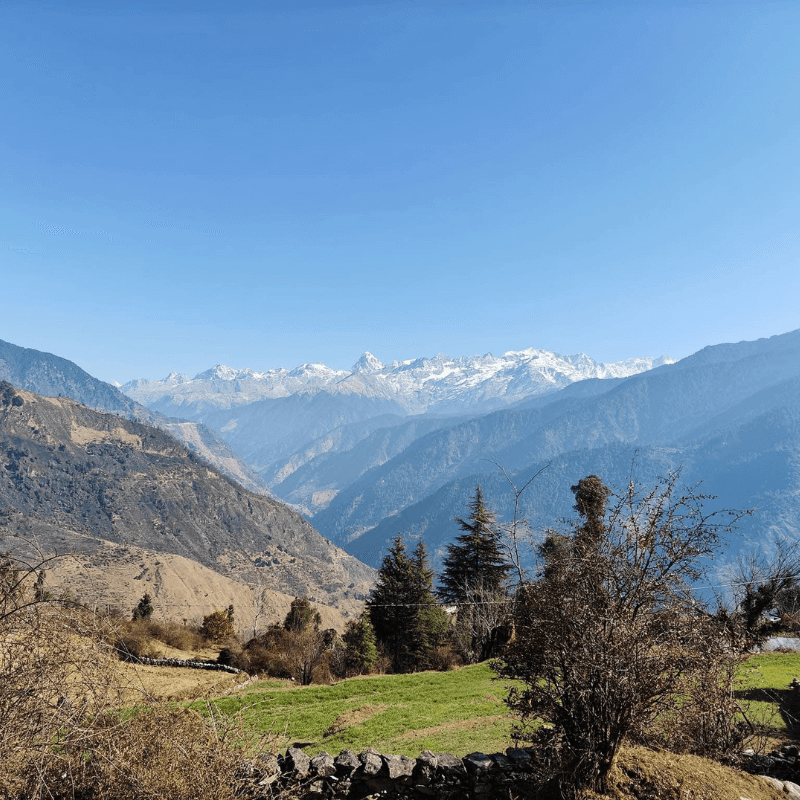 Dayara Bugyal Trek discoveryhike