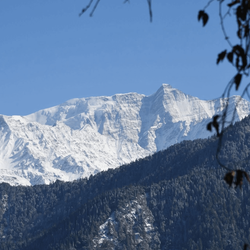 Dayara Bugyal Trek discoveryhike