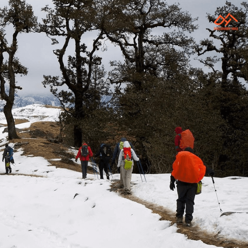 Brahmatal trek discoveryhike